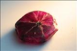 Rare Mong Hsu Trapiche Ruby