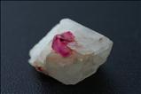 Fine Terminated ルビー (Ruby) in 方解石 (Calcite)