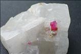 Cristal de Rubí en Matriz de Calcita