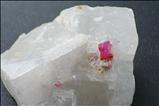 ルビー (Ruby) in 方解石 (Calcite)