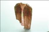 Exceptional Rubellite Crystal