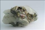 Moor's Head 電気石 (Tourmaline) on 石英 (Quartz)