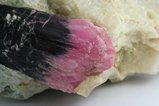 Rubellite - Schorl in Matrix