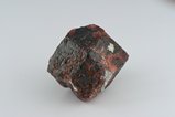 パイロープ (Pyrope) 結晶 (Crystal) (rhombdodecahedron)