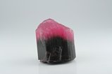 Fine Bi-Color ショール (鉄電気石) (Schorl) 結晶 (Crystal)