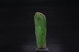 アクチノ閃石 透閃石 (Actinolite)