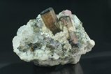 2 Fine Moors Head Tourmaline Crystals in Matrix