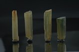 4 Tremolite Crystals