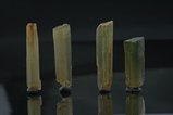 透角閃石 (Tremolite)