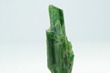 Tief grüner Aktinolith Kristall