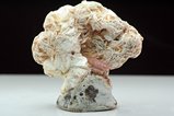 Pink Tourmaline on Muscovite