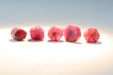 5 Trapiche Rubin Kristalle 
