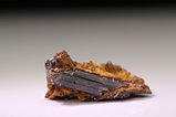 Painite Crystal in Matrix