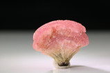 Ungewöhnlicher Pilz-Turmalin Kristall 