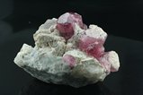 Fine Rubellite Cabinet