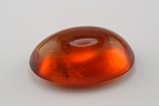 Amber (Burmite) Cabochon w. Insect