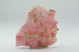 Fine Rubellite Cluster