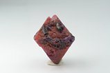 Rare Ruby Crystal on Spinel