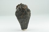 TOP Rare Schorl Crystal