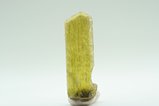 Fine Green Enstatite Crystal