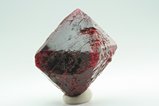 Huge fine Deep red Spine Crystal