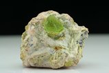 Fine  Peridot Crystal in matrix