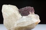 Mushroom Tourmaline Crystal on Quartz