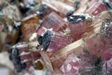 Moor's Head Tourmaline Crystals in Matrix