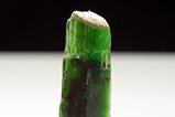 Doubly terminated Actinolite Crystal 