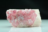 Pink Tourmaline Crystal on Feldspar