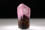 Multicoloured Mushroom Tourmaline Crystal