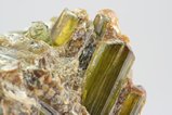 Green Enstatite Crystals in Matrix