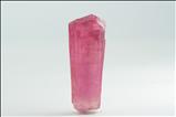 Fine Pink  リディコータイト (Liddicoatite) 結晶 (Crystal)