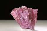 Rare Liddicoatite Crystal Vietnam