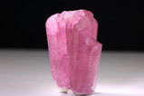Liddicoatite Tourmaline Crystal 
