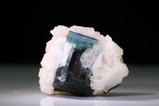 Blauer Turmalin Kristall auf Cleavelandit