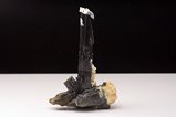 Bent Schorl Crystal 