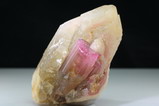 Schöner pinkfarbener Turmalin Kristall auf Quarz